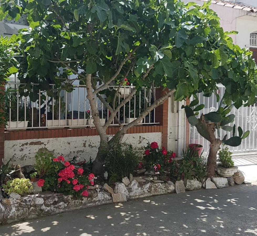 Maison De Vacances A Empuriabrava "Oasis" Exterior photo